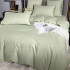 Постельное белье Египетский хлопок Элитный Светло-фисташковый 2 спальный, на резинке 140x200x30